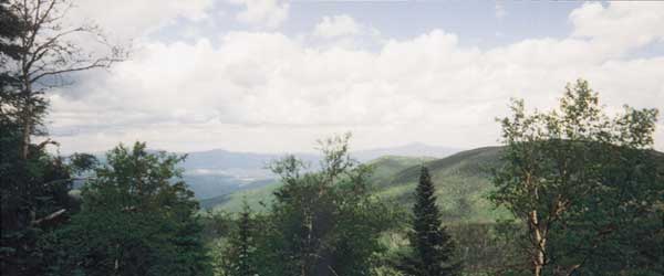 More Views
