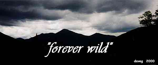 "Forever Wild"